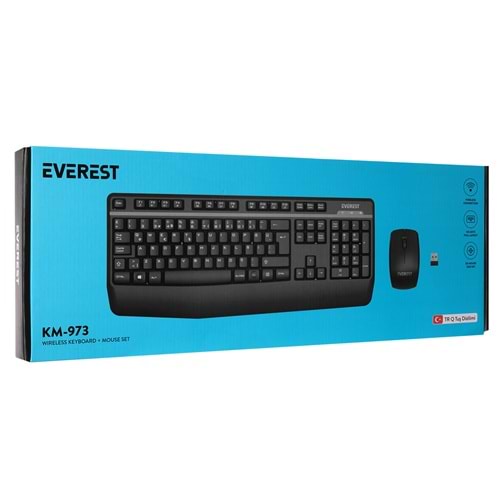 EVEREST KM-973 KABLOSUZ SET