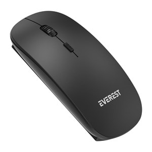 EVEREST SM-12 KABLOSUZ MOUSE